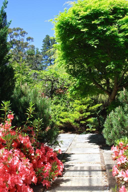 Winston Cottage at Three Sisters Katoomba Exterior foto