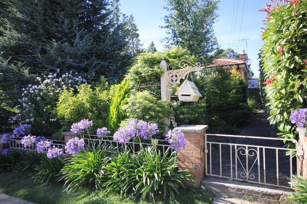 Winston Cottage at Three Sisters Katoomba Exterior foto