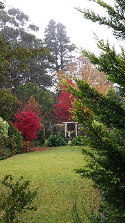 Winston Cottage at Three Sisters Katoomba Exterior foto